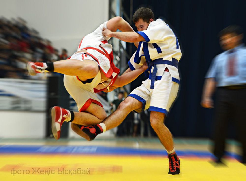 Balp-balp basqan balýandar qaıda?