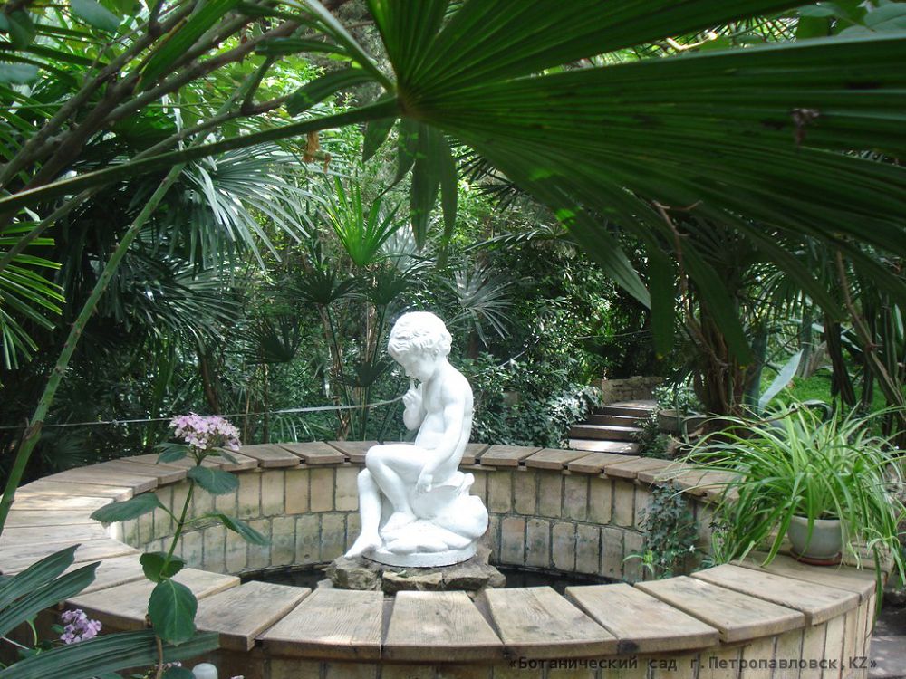 SQO-daǵy botanıkalyq baq qaıta jańǵyrady