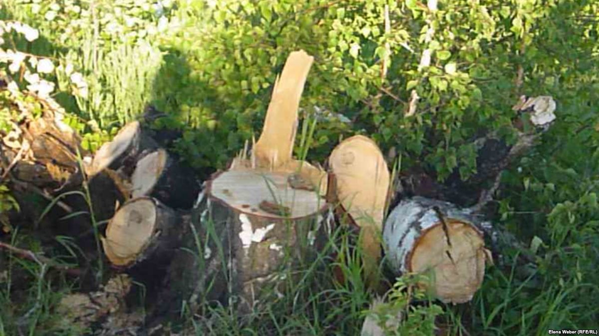 Ormandy otaýǵa jol berilmesin