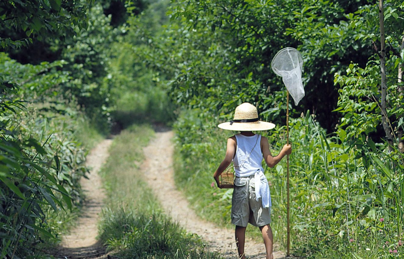 ShQO oqýshylary ormanda demalady