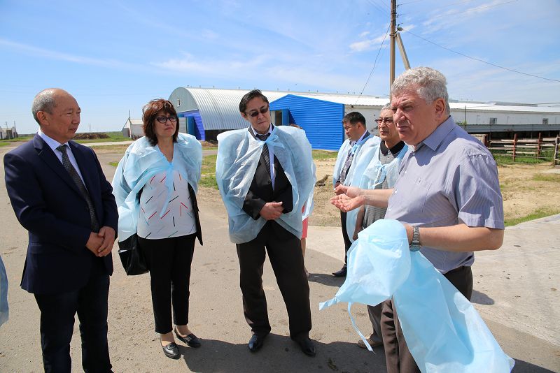 Aýdıtorııadan – óndiriske