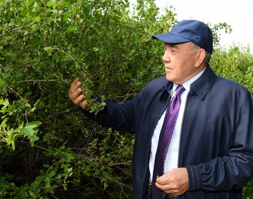 Elbasy Astananyń «jasyl beldeýiniń» nysandaryn aralap kórdi