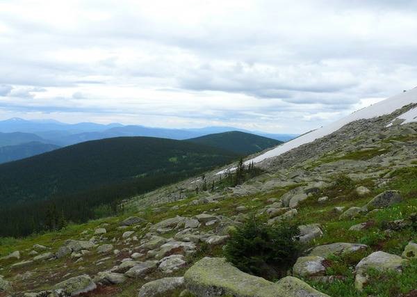 Jýalynyń jasyl tabıǵaty demalysqa qolaıly