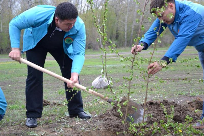Elimizde alǵash ret «jasyl» senbilik ótedi