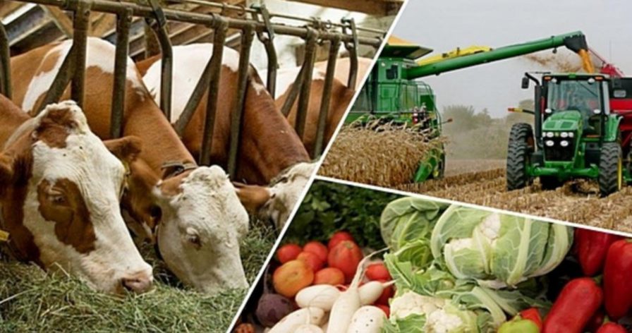 Halyqaralyq agroforým ınvestorlardy aýyl bıznesine shaqyrdy