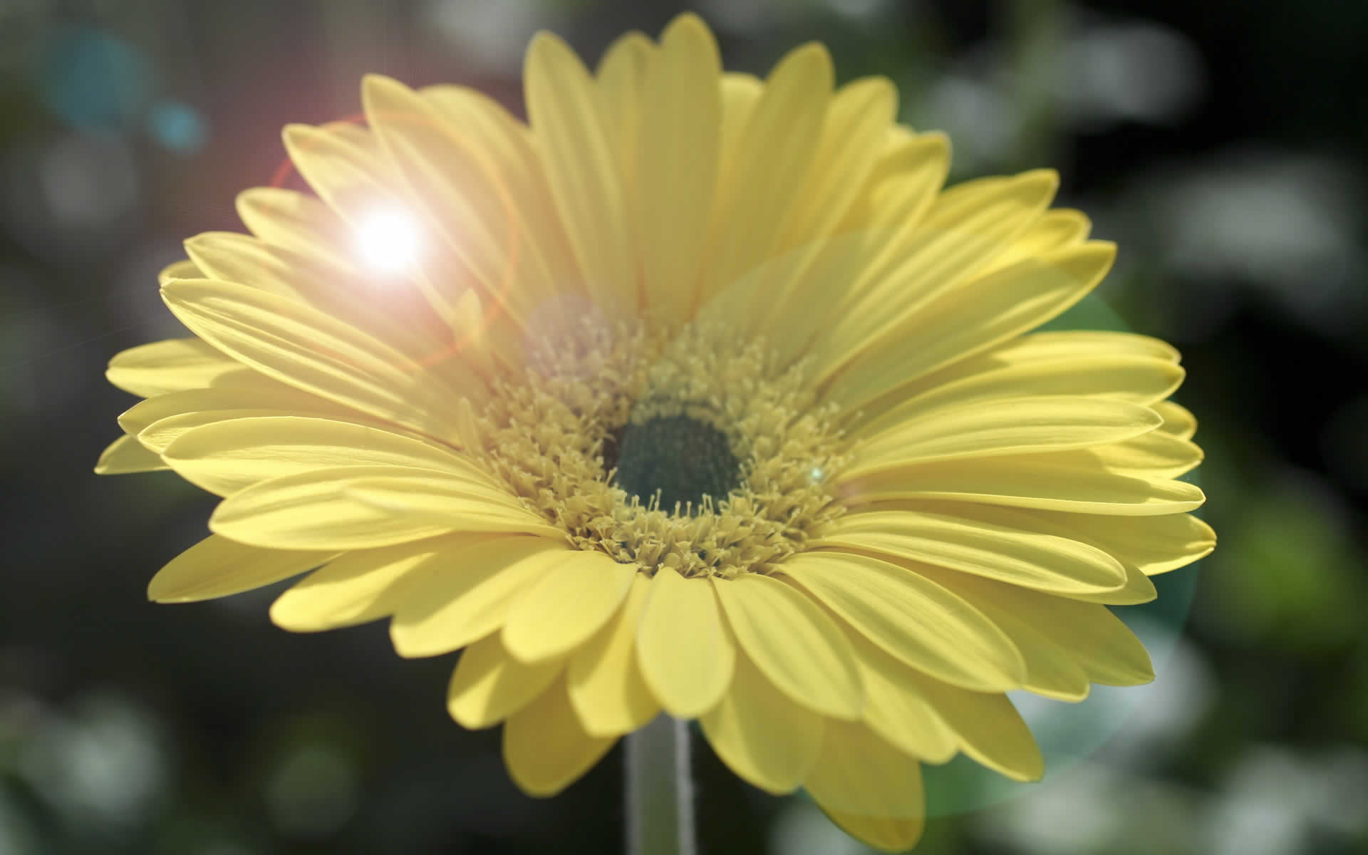 14 shildege arnalǵan aýa raıy boljamy