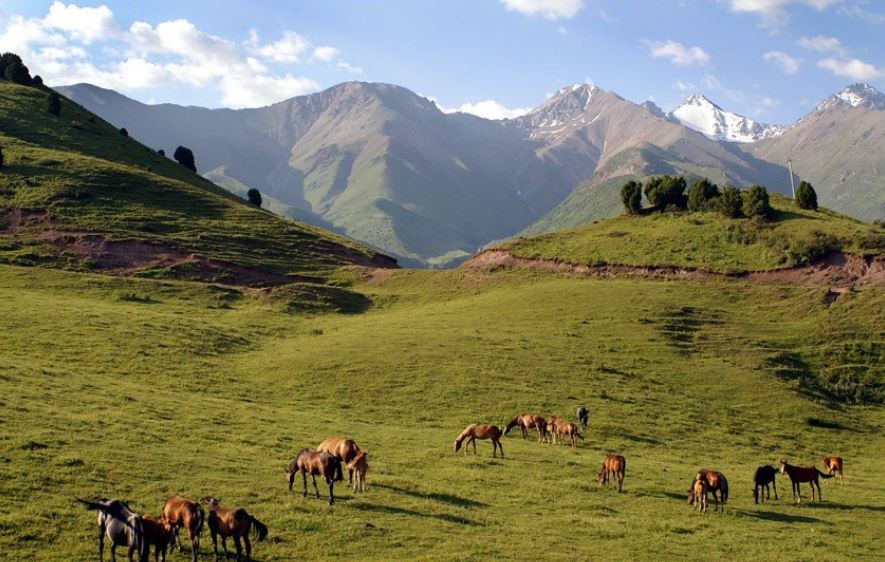 «Kazakh Tourism» kompanııasy ekspedısııa uıymdastyrmaq