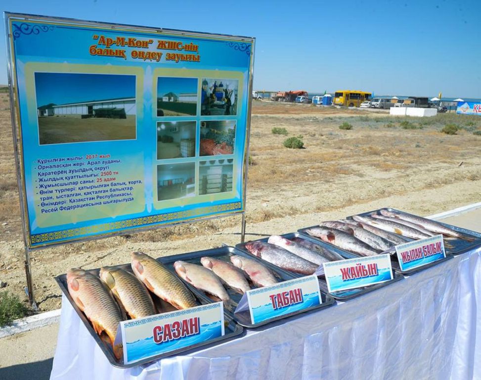 Balyq aýlaý jıyrma esege artty