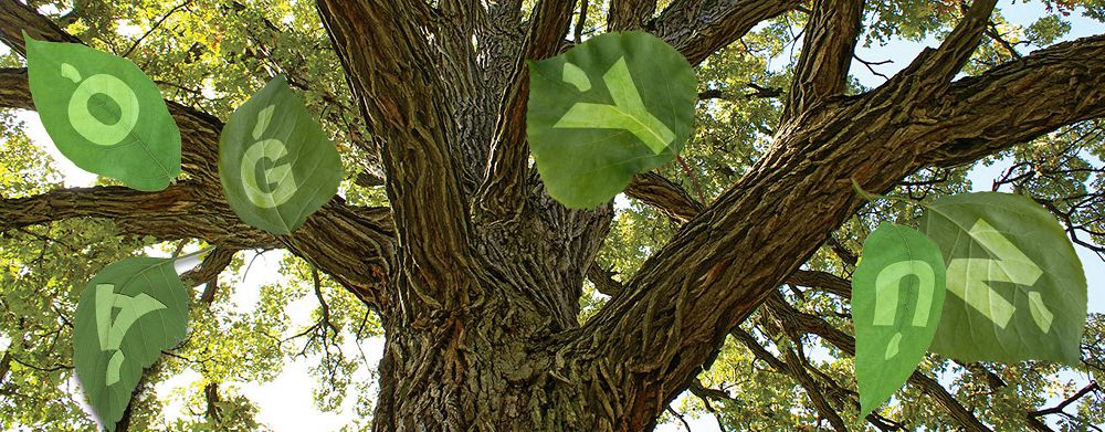 Álipbı – jazýymyzdyń irgetasy