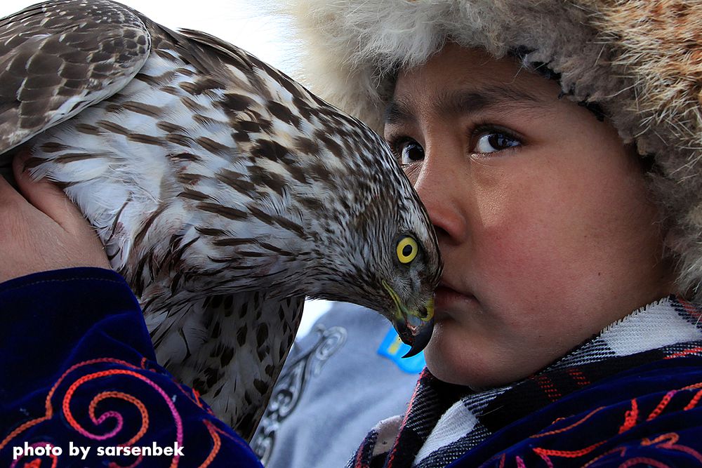 Qarshyǵa men qara bala