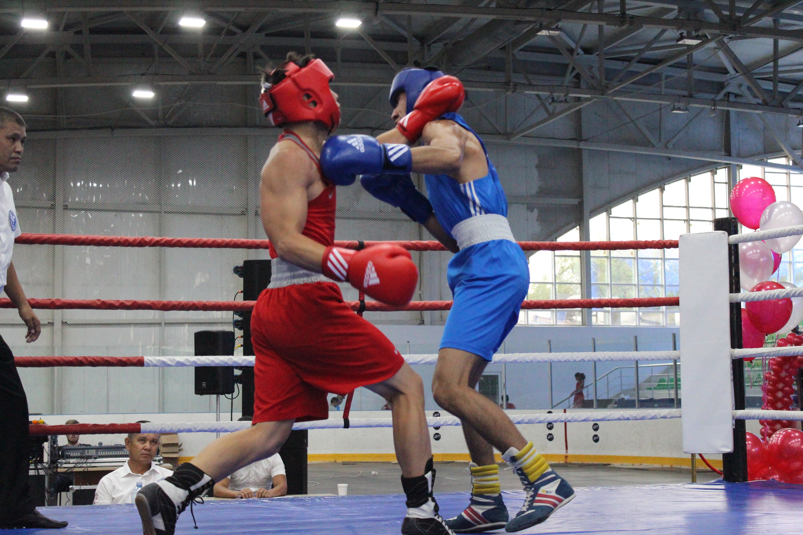 Bokstan aǵaıyndy Áıtenovterdiń týrnıri aıaqtaldy