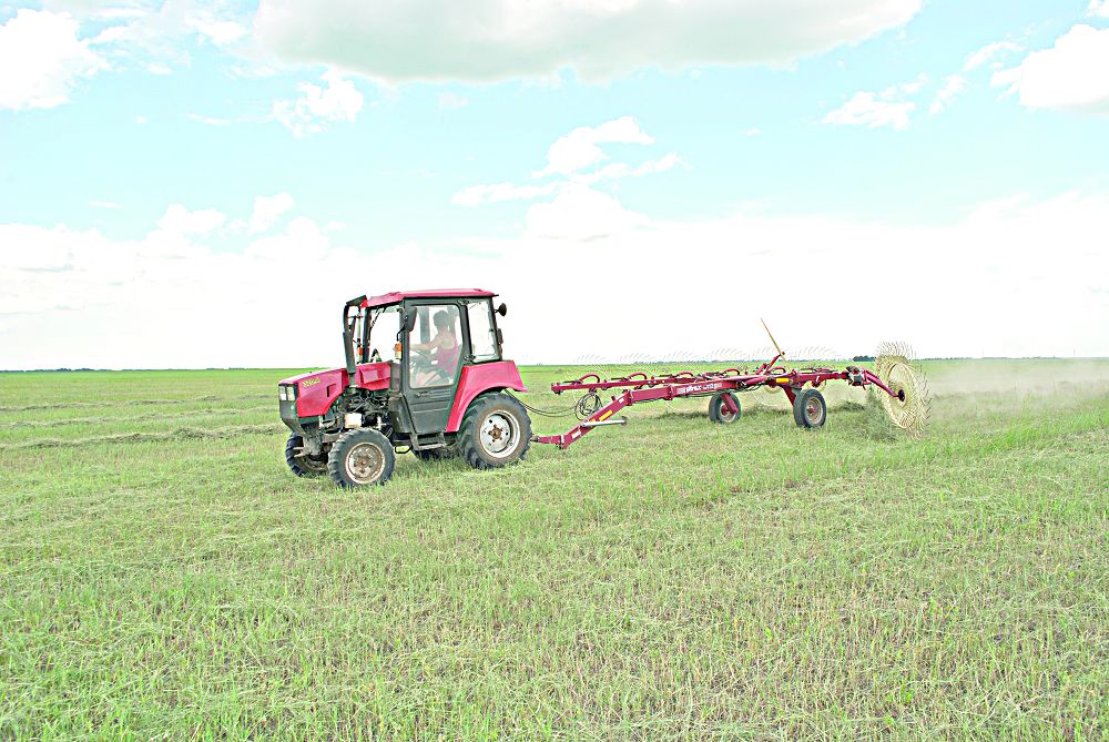 Shabyndyqqa shalǵy tústi