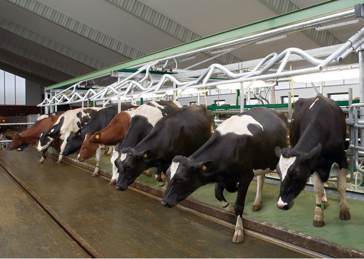 Aýyl sharýashylyǵynyń aýqymdy máseleleri talqylandy