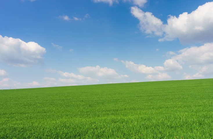 Fermer, ónimdi mol ber!