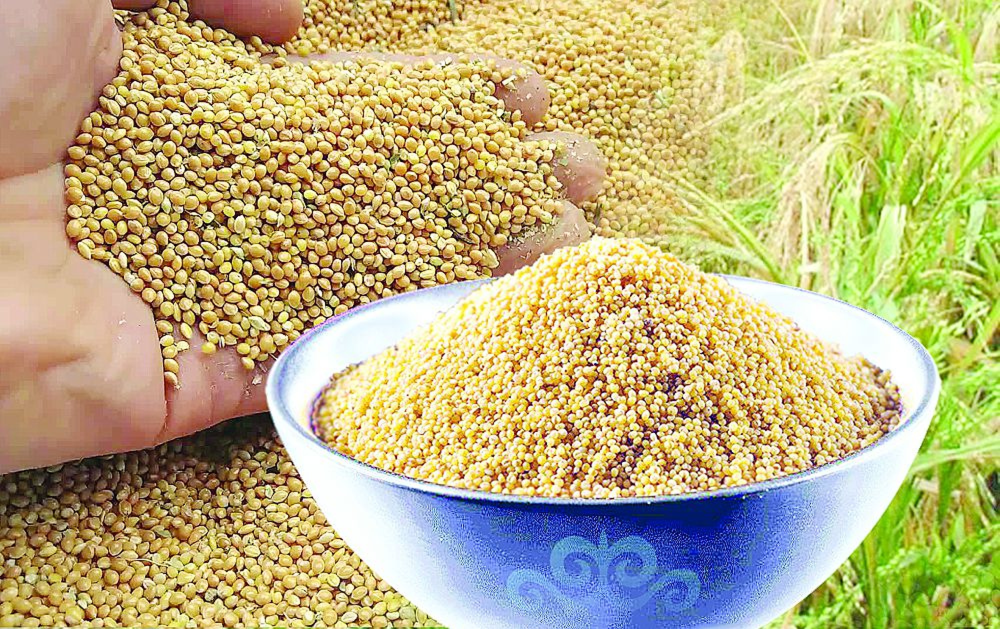 Tary óndirisi tasada qalmasyn desek...