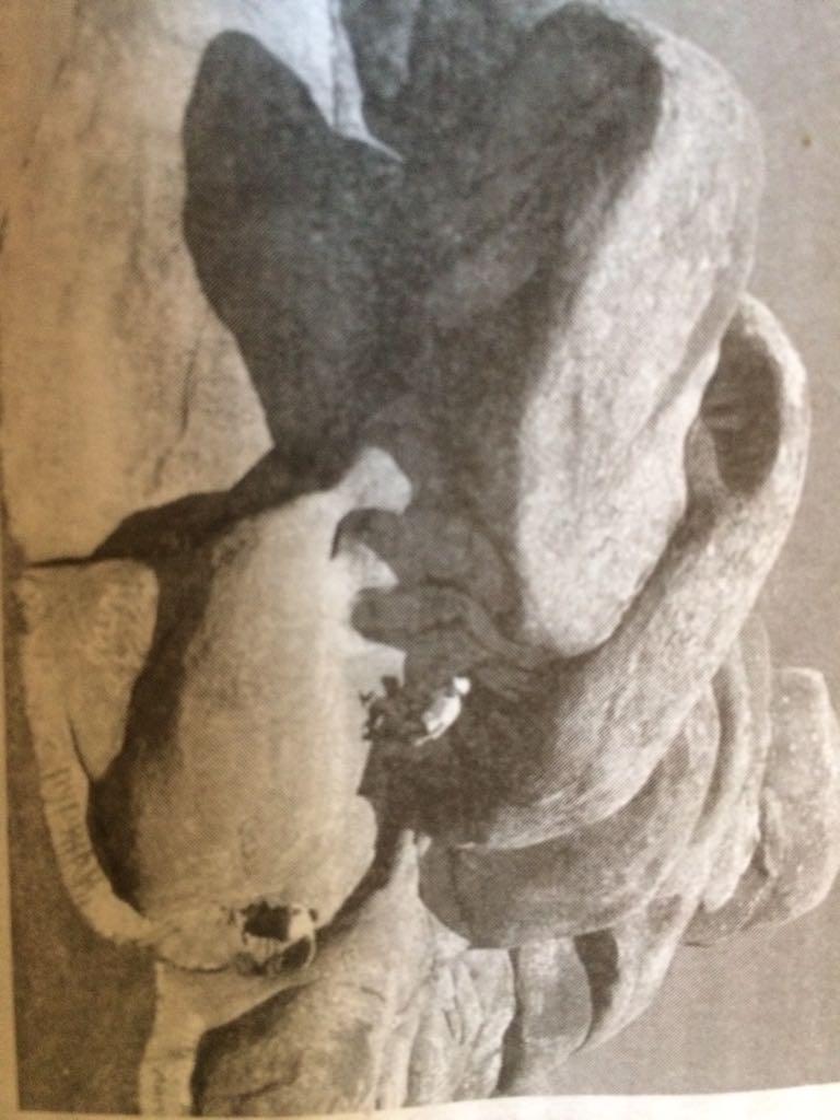 Shoqandy yntyqtyrǵan shartas