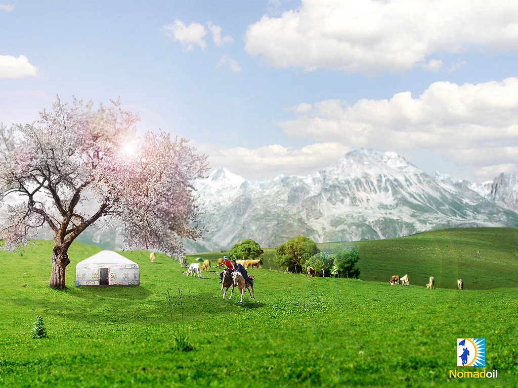 Sh. JYLQYBAEVA. Maqal-mátelderdegi ulttyq tárbıe