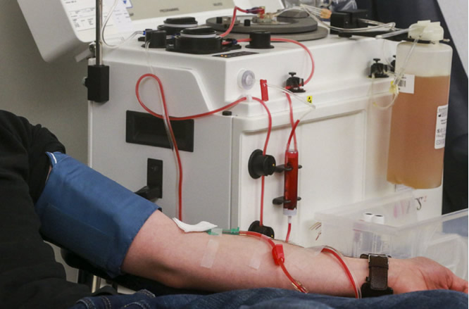 Soltústik Qazaqstanda qan tazartý ortalyǵy ashyldy