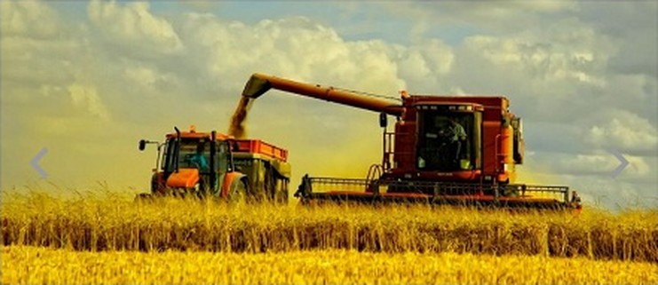 «Agrobırja» kásipkerliktiń órisin keńeıtedi