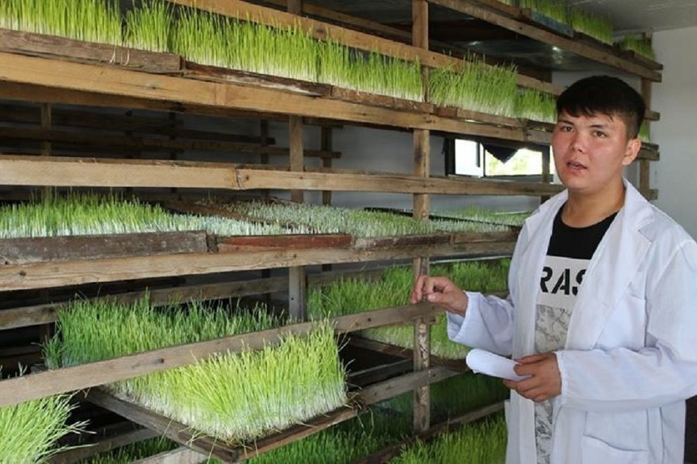 Jas ǵalymnyń jańa jobasy jappaı qoldanysqa ene me?