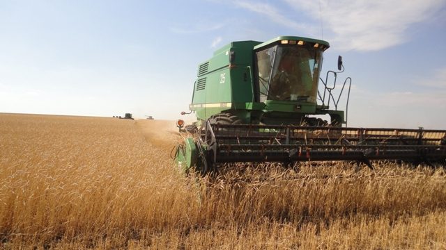 Sharýalardyń bazynasy bar