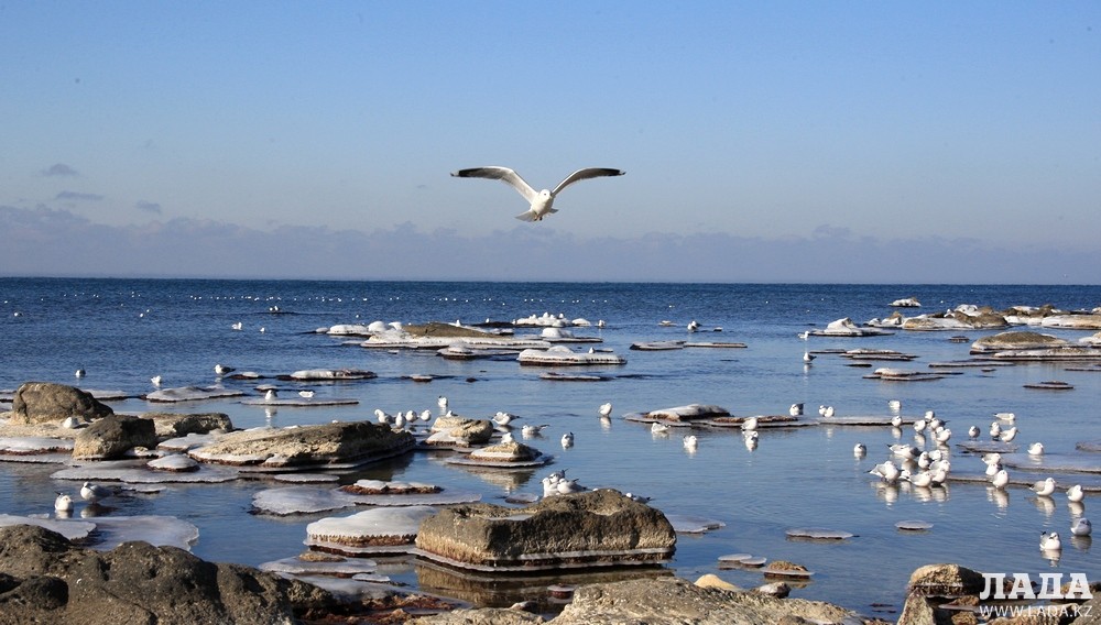 Kaspıı sammıtiniń bes tarappen kelisilgen kún tártibi negizgi úsh máseleni qamtıdy