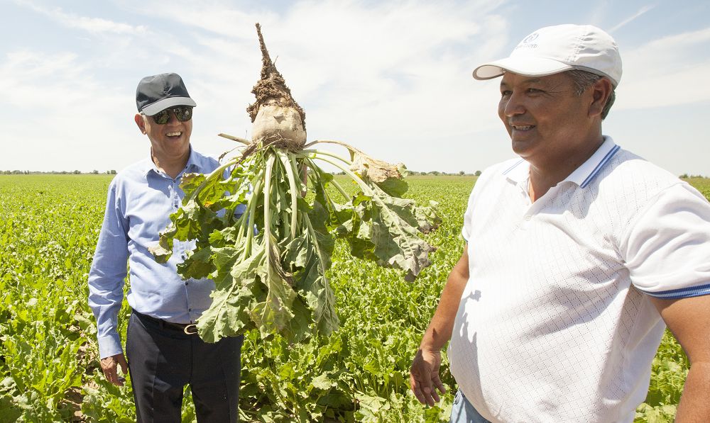 Kóksý ózenin jaǵalaǵan eldiń eńbegi jemisti