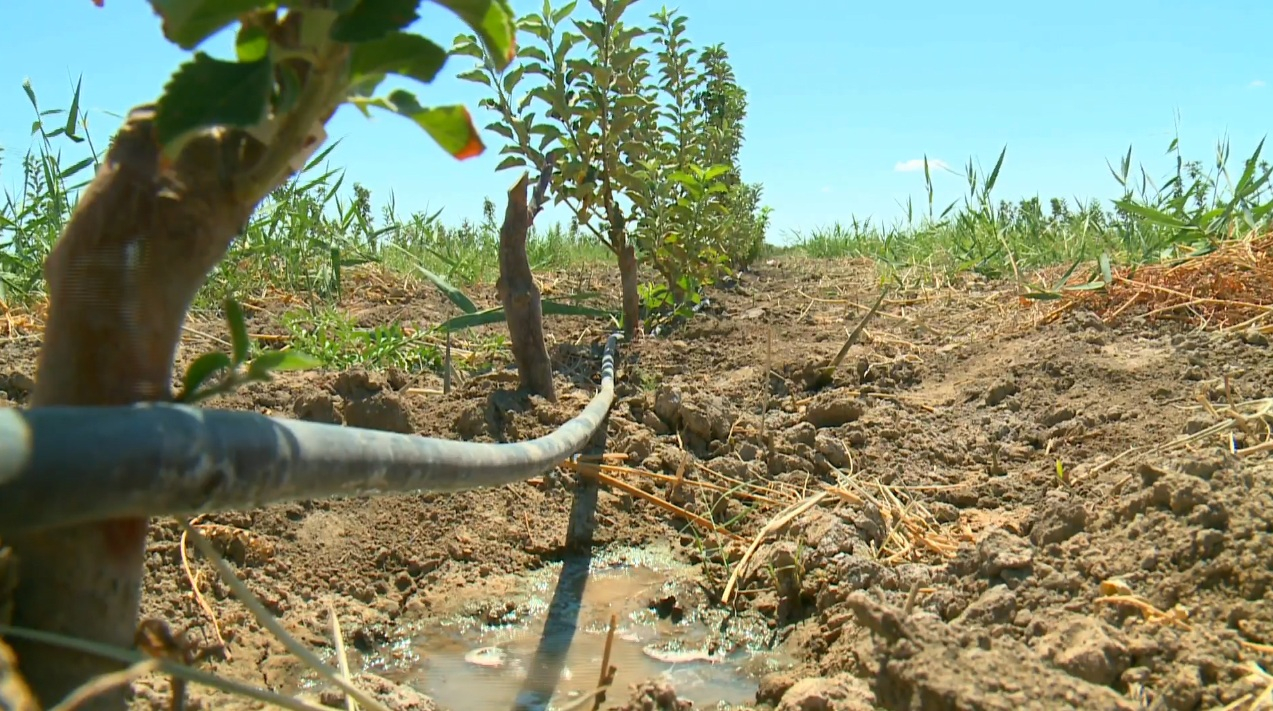 Jalaǵashta sor basqan jerler qaıta qalpyna keltiriledi
