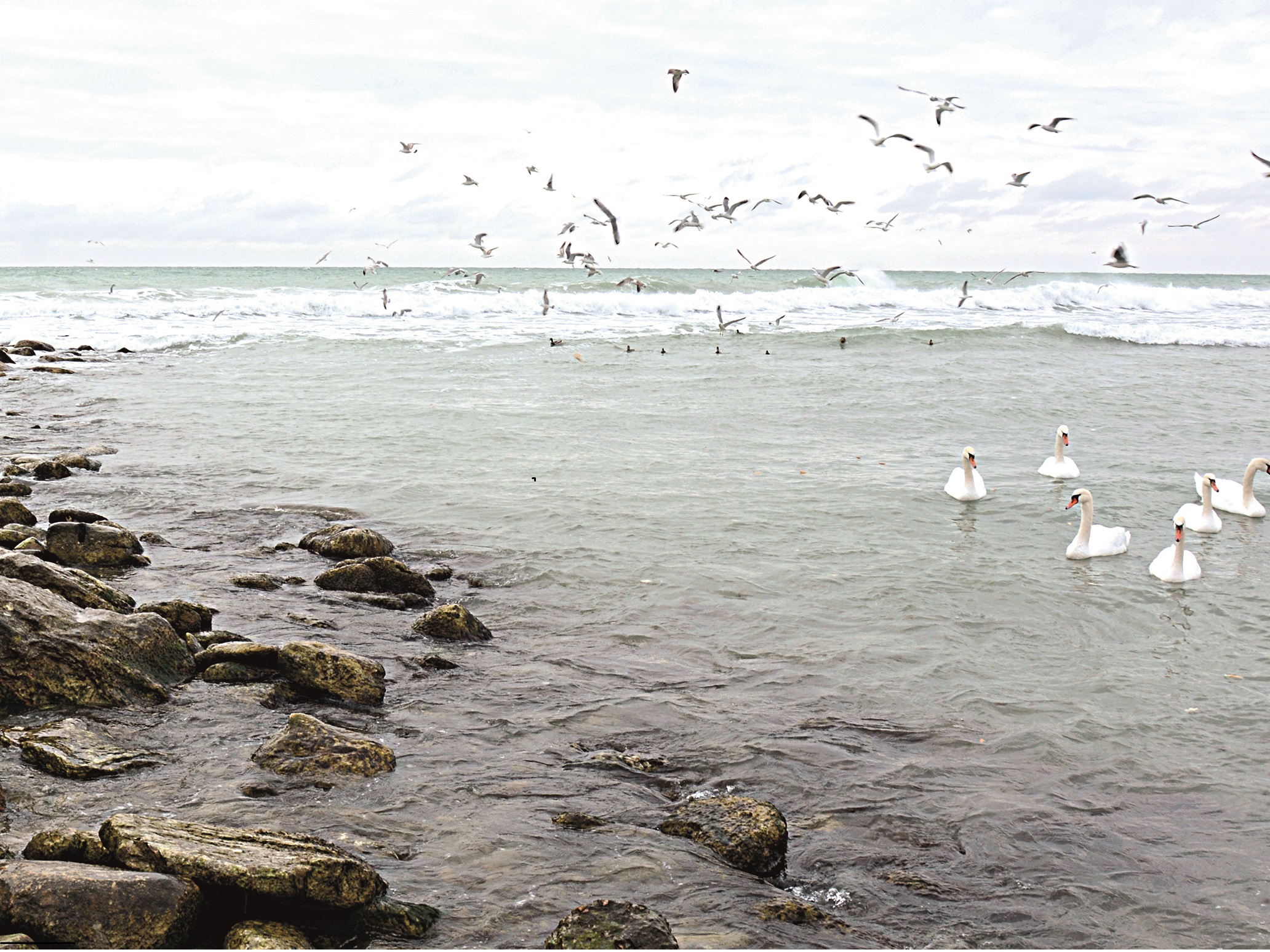 Á.Ǵadelshıev: Konvensııa – kóptegen máseleler sheshimi