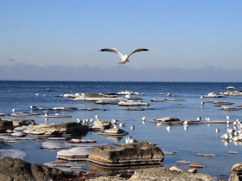 G.Kóbenova: Yntymaqtastyqty arttyratyn qujat bolmaq