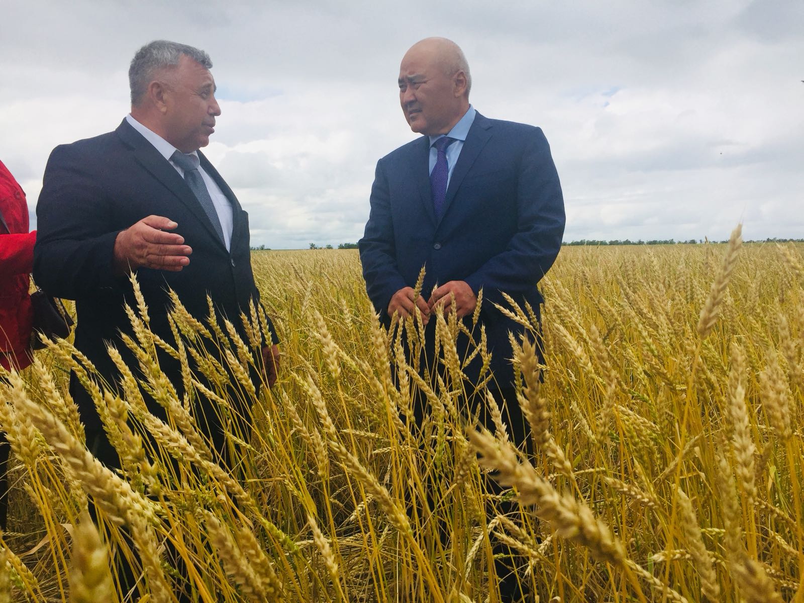 Aýyl sharýashylyǵy mınıstri О́mirzaq Shókeev Qostanaı oblysy sharýashylyqtaryn aralady