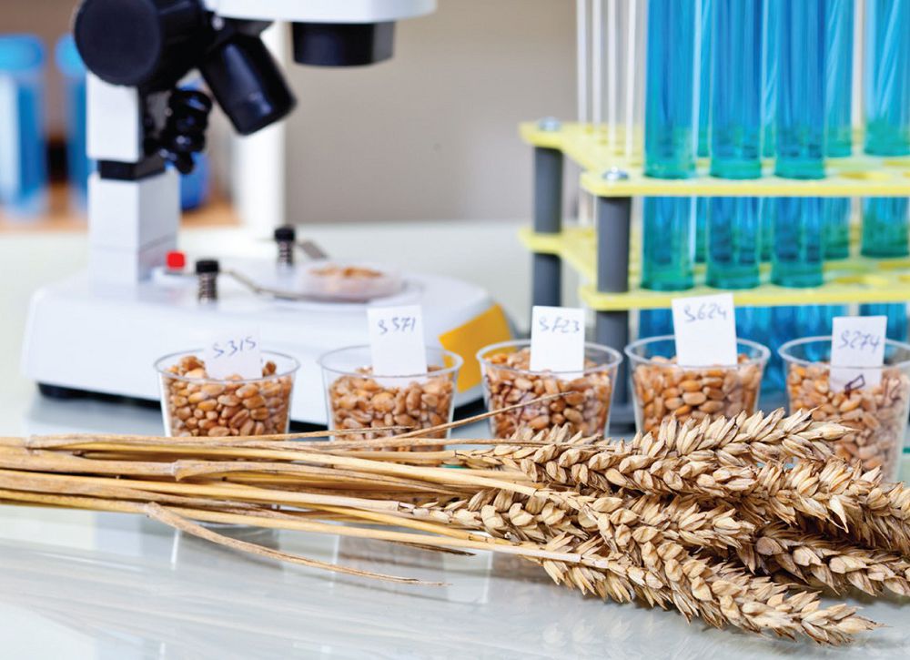 Bıznes pen ǵylym tize qosýǵa tıis