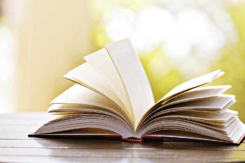 Dámetken Súleımenovanyń «Jahansha Dosmuhamedov hám qazaq avtonomııasy» kitaby jaryq kórdi