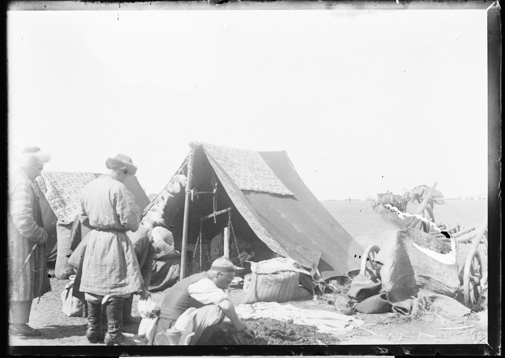 Adam Pjegodskııdiń Jetisýdaǵy kópqyrly qyzmeti