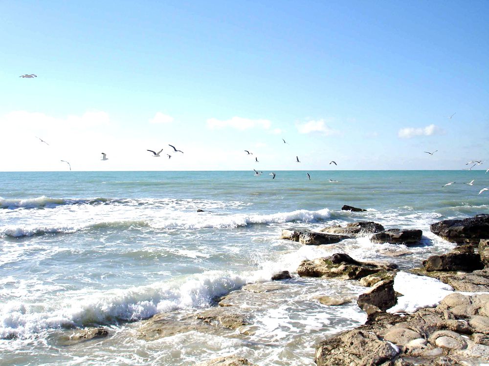 Zúlfııa AMANJOLOVA: Kaspıı konvensııasy – turaqtylyq pen ornyqty damý kepili