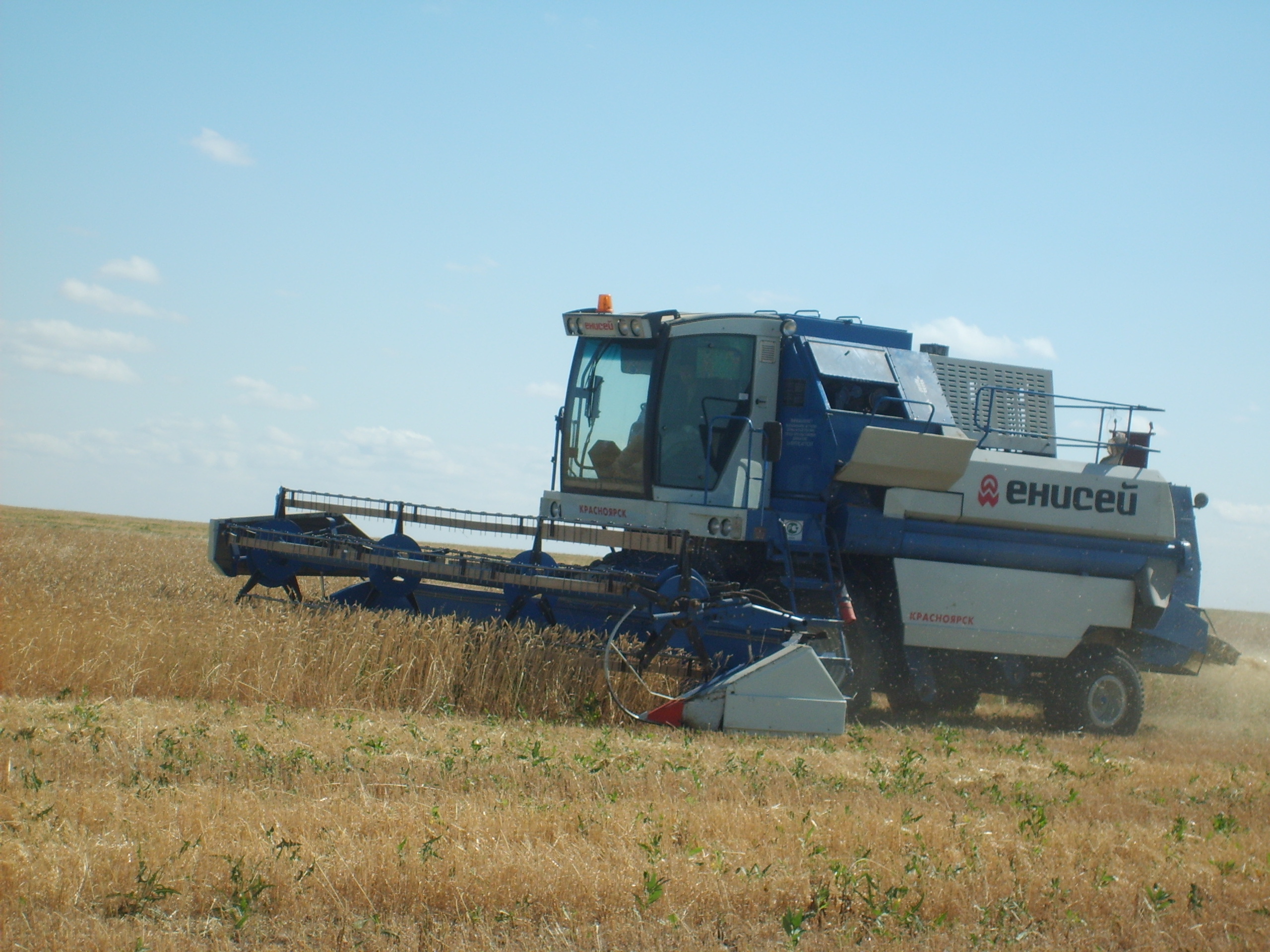 Qostanaılyq dıqandardyń bıylǵy keýseni 5 mıllıon tonnadan kem bolmaıdy