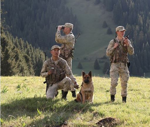 Shekaradaǵy quqyq buzýshylyq azaıyp keledi