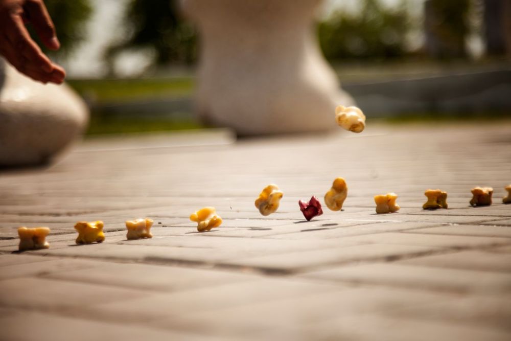 Elordada «Uly dala rýhy» respýblıkalyq festıvaliniń soltústik aımaqtyq irikteý jarystary ótip jatyr