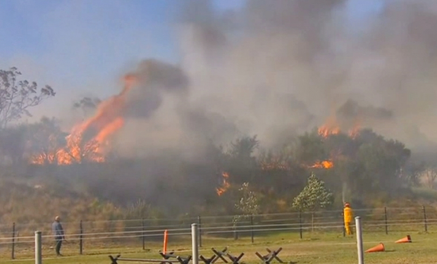 Avstralııada orman órtendi