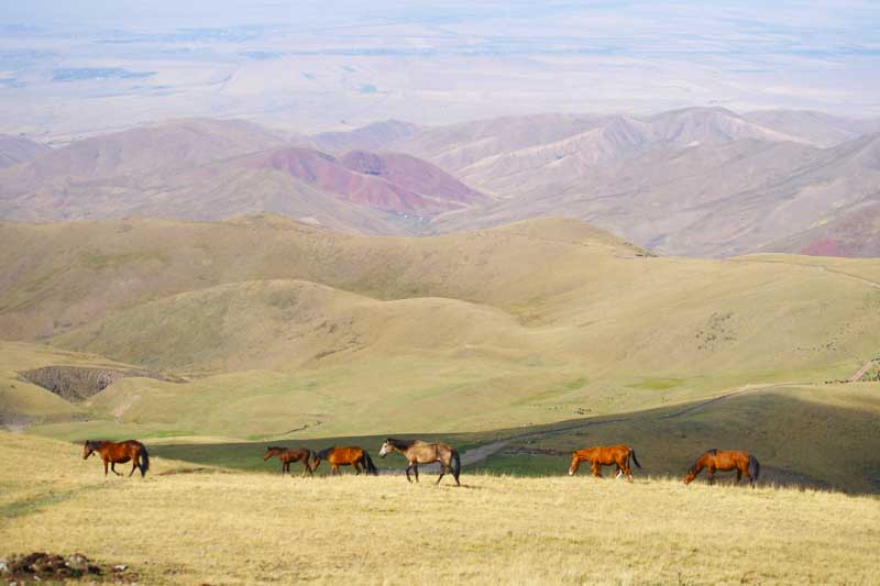 Buqar jyryndaǵy búgingi turpat