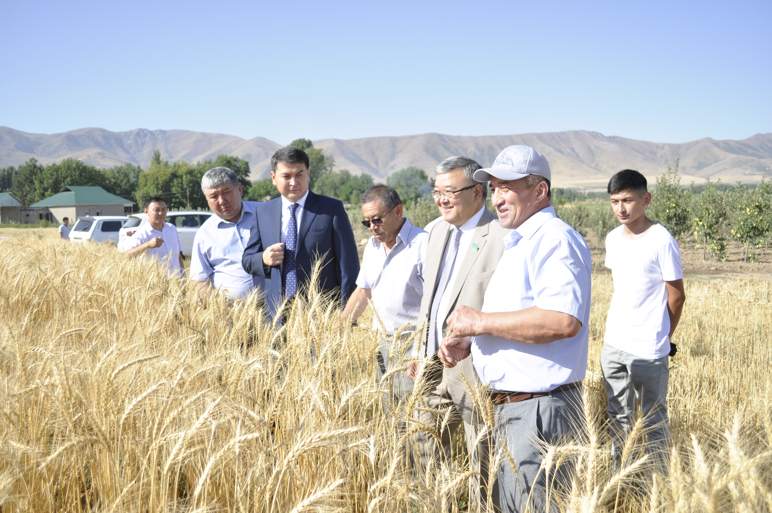 Senator Asqar Beısenbaev Túrkistan oblysynda boldy