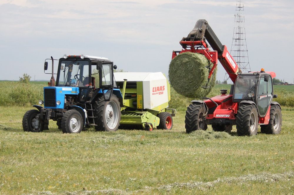 Maly toqtyń – eli toq
