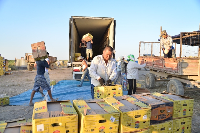 Otyrarda astyq kólemi eki esege artty