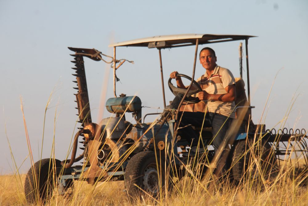 Kógeristen shyqqan konstrýktor
