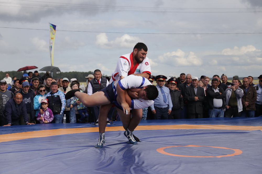 Aıyrtaý – asyl aımaq Arqadaǵy
