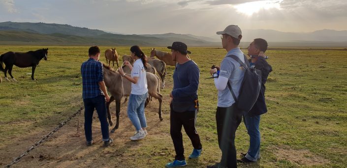  Lives’talk mal sharýashylyǵyndaǵy qazaqstandyqtarǵa joǵalǵan tórt túligin ońaı tabýǵa kómektespek