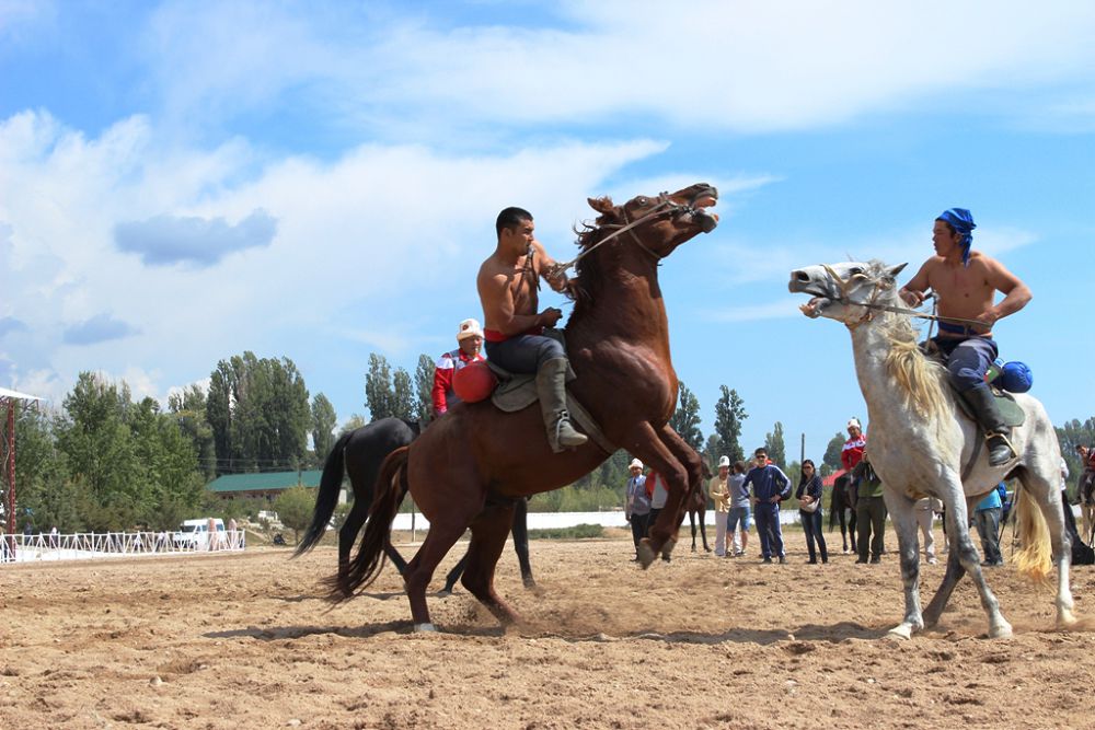 Kóshpendiler oıyndarynyń kóshi túzelip keledi