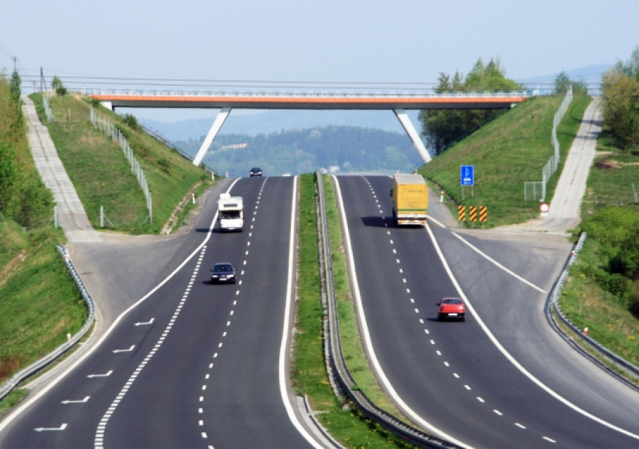 Kórshi elge qaraı avtokólik aǵyny kóbeıdi
