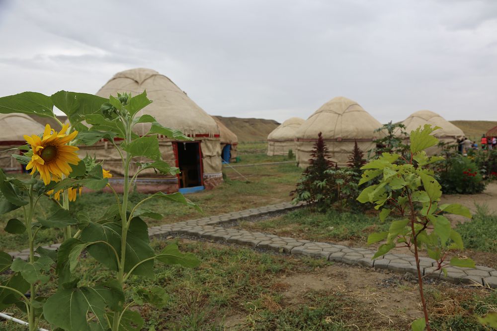 Bitken is te bar, atqarylar sharýa da az emes