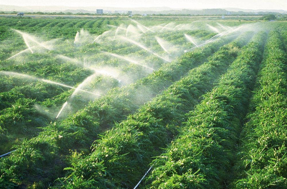 Sýarmaly jerlerdi tıimdi paıdalanbaı, jaǵdaı jaqsarmaıdy